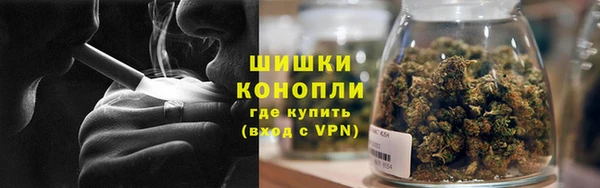 бошки Елабуга