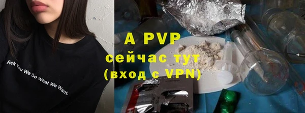 бошки Елабуга