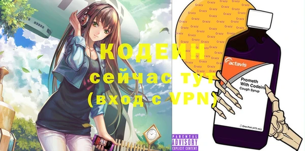 бошки Елабуга
