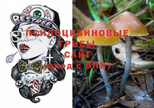 mix Ельня