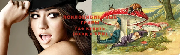 mix Ельня