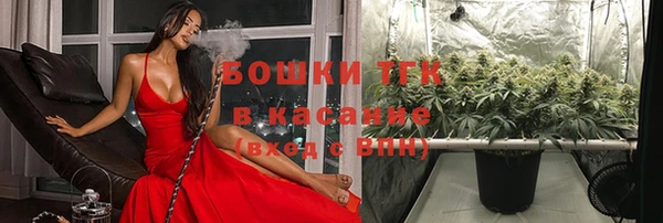 mix Ельня